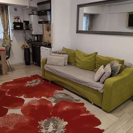 Apartment River Bacău Buitenkant foto
