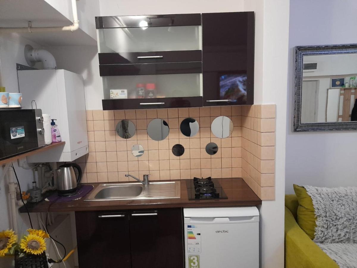 Apartment River Bacău Buitenkant foto